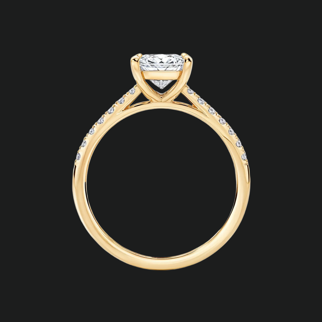 Radiant Cut Cathedral Engagement Ring with Diamond Pavé Band