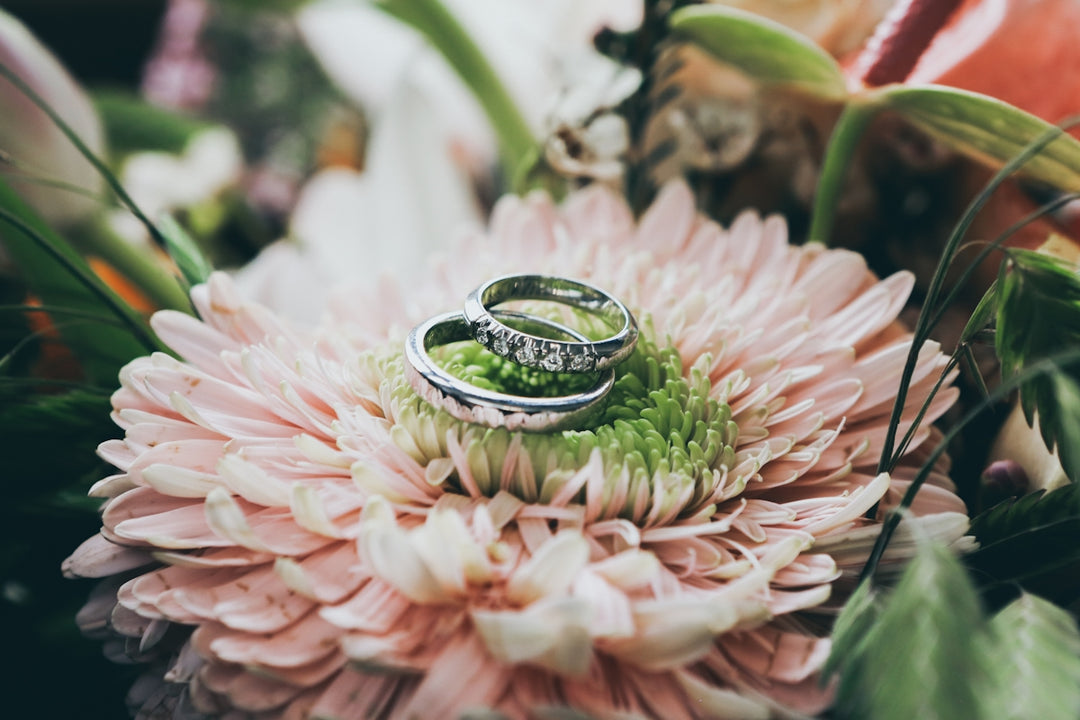 Fotografia ravvicinata di anelli di nozze color argento sul fiore rosa Gerbera Daisy