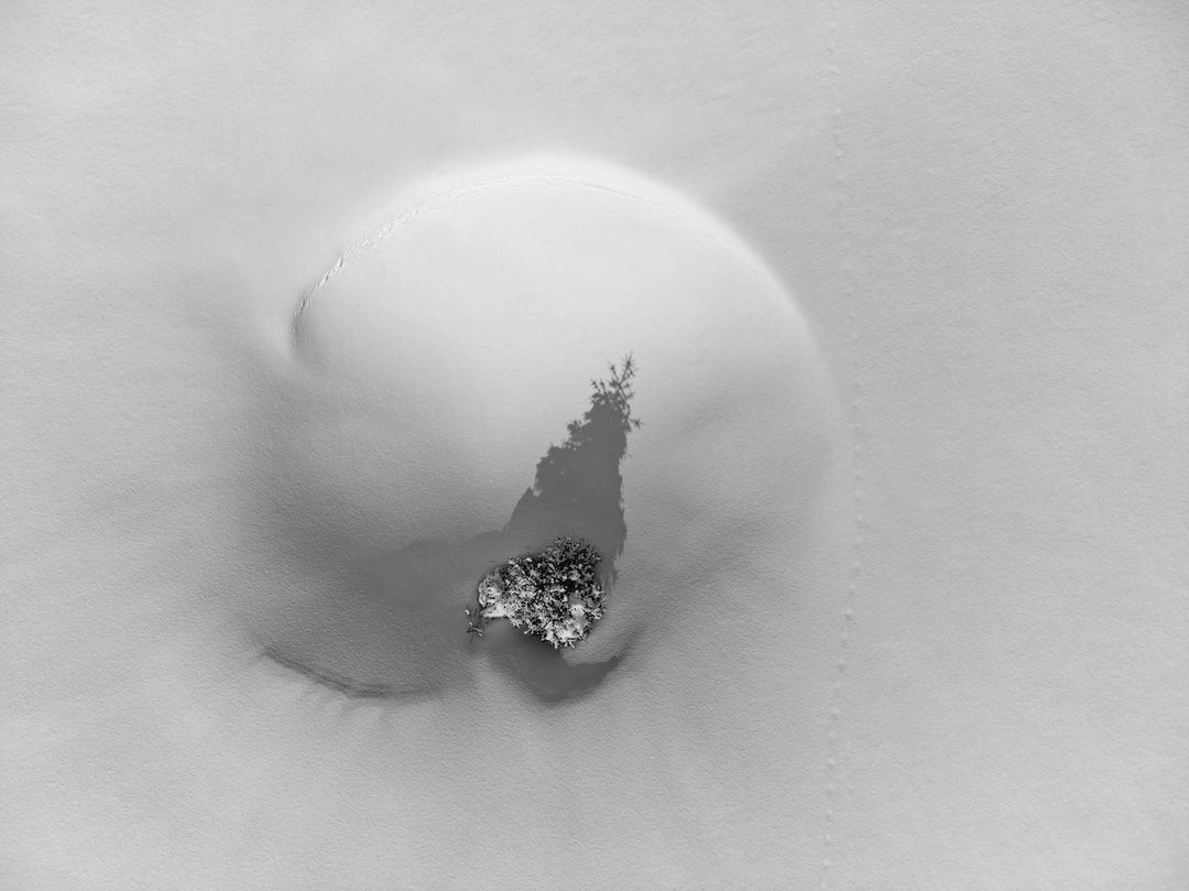 Una foto in bianco e nero di una palla di neve