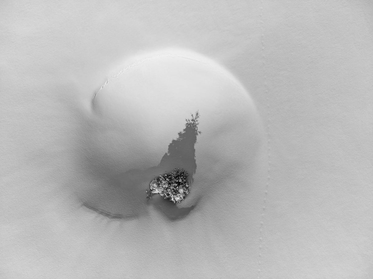 Ein schwarz -weißes Foto eines Schneeballs