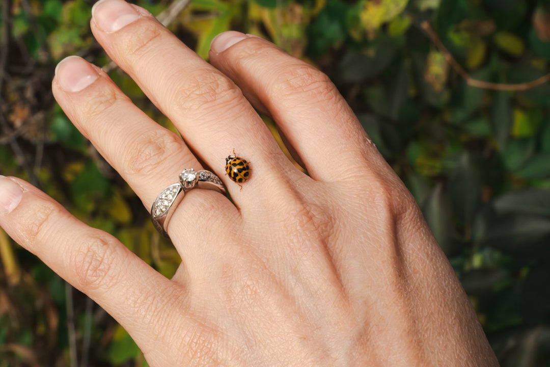 A person's hand with a ring on it