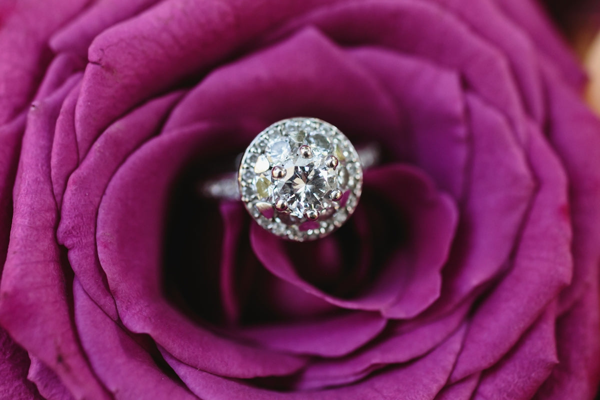 A close up of a rose with a diamond ring on it