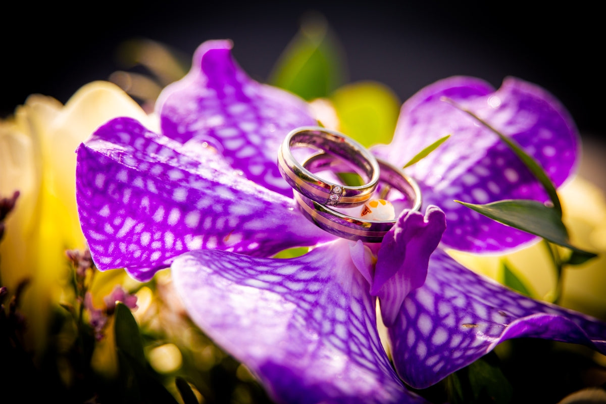 Wedding rings rest on vibrant purple flowers.