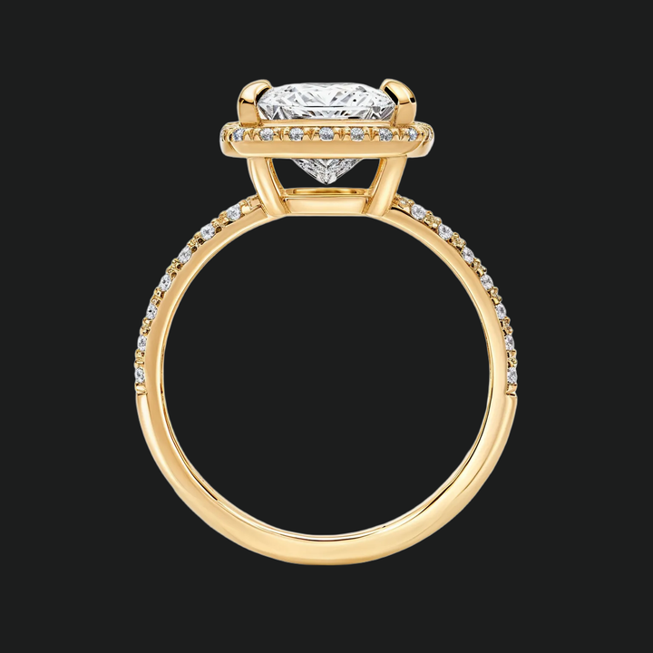 Prinses Halo -verlovingsring met diamantaccenten