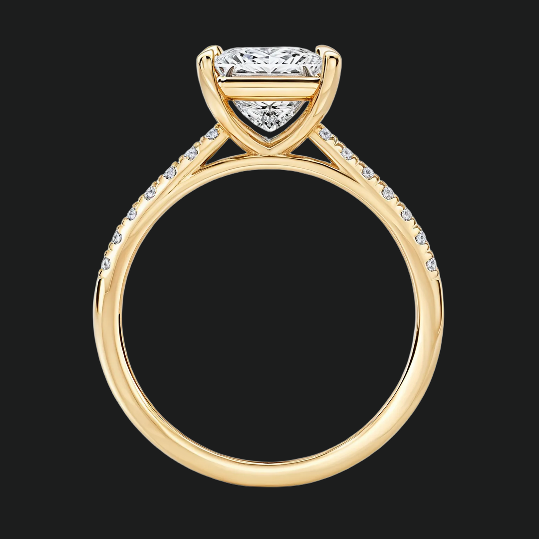 Cathedral Princess Cut -verlovingsring met diamantaccenten
