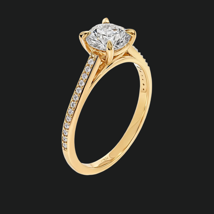Cathedral Round Cut Diamond Accenten verlovingsring met kanaalsetband