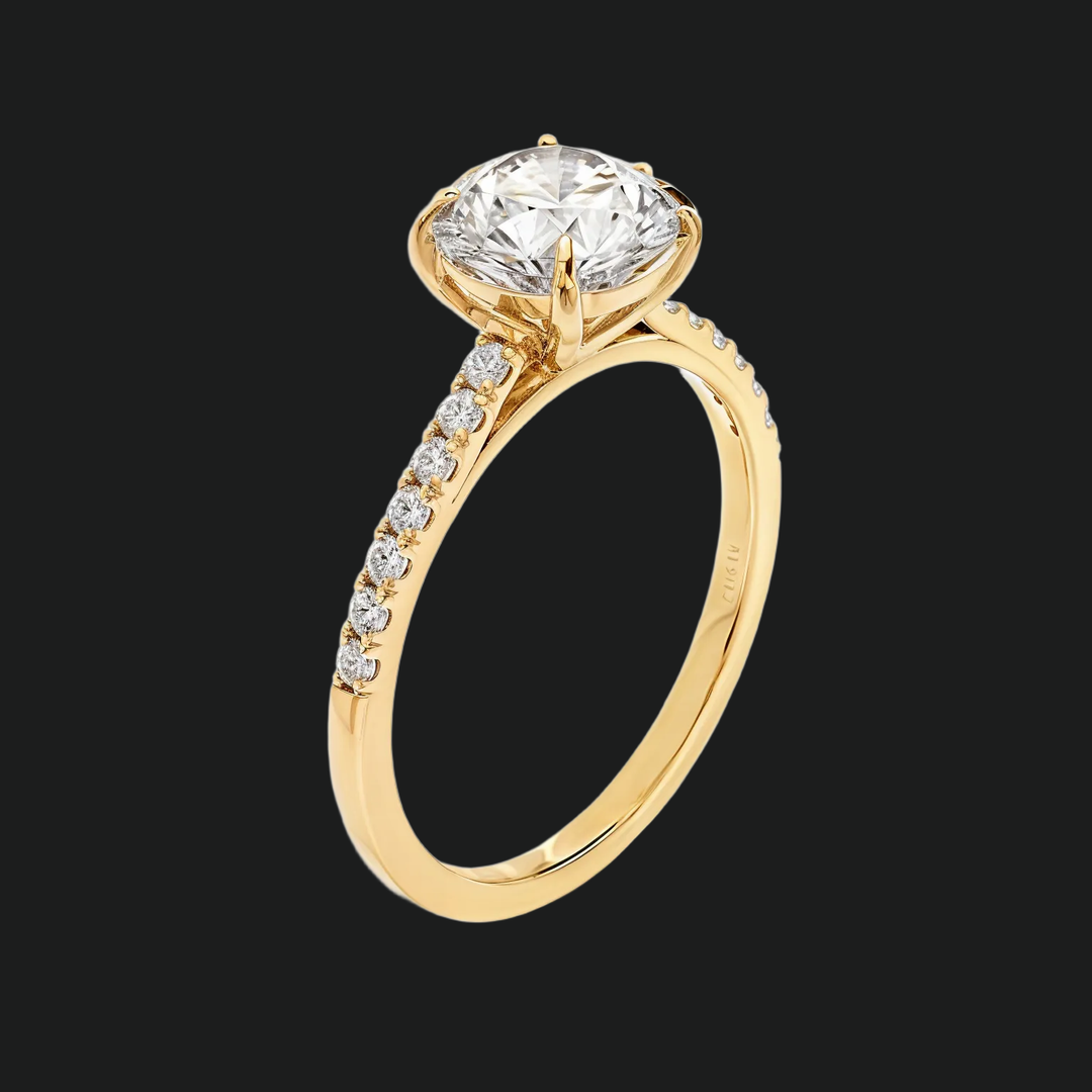 Cathedral Round Diamond Accenten verlovingsring