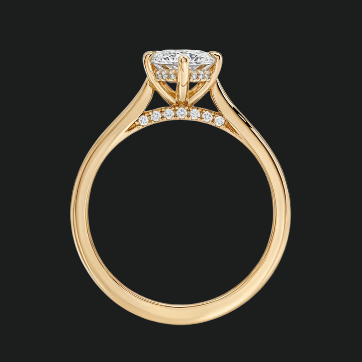 Marquise sneden verborgen halo -verlovingsring met diamantaccenten