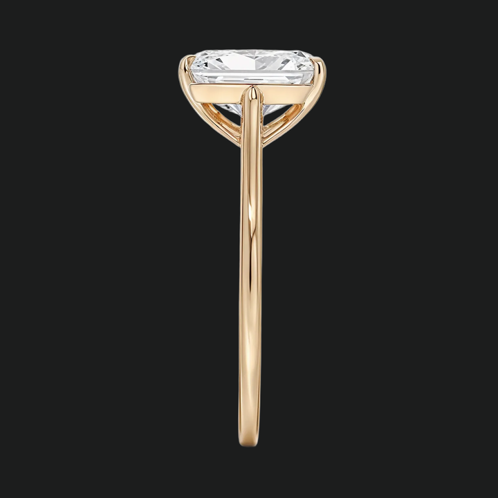 Petite Radiant Cut Solitaire verlovingsring met diamantaccenten