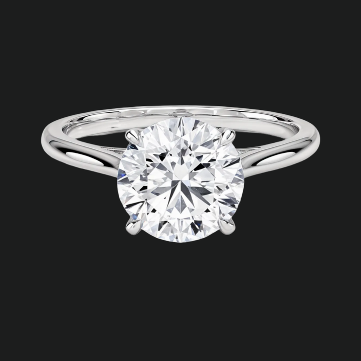 Petite ronde verborgen halo solitaire verlovingsring