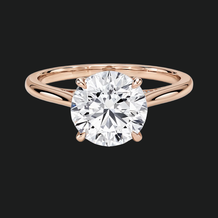Petite ronde verborgen halo solitaire verlovingsring