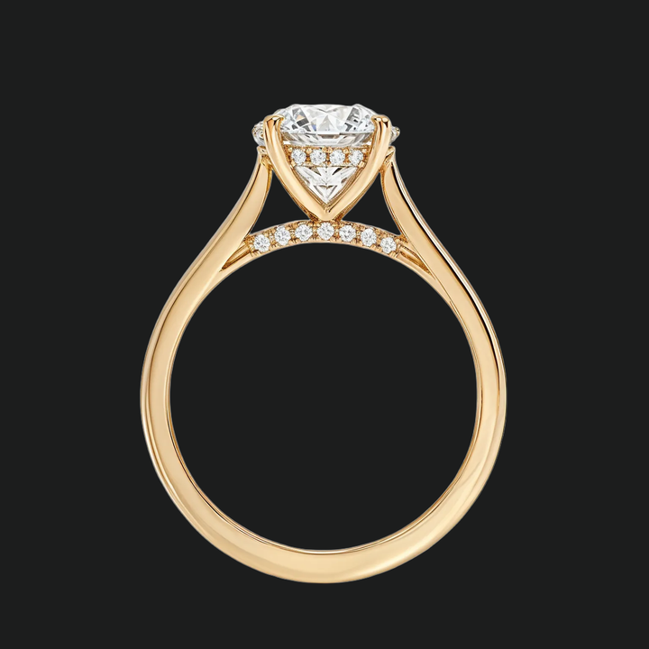 Petite ronde verborgen halo solitaire verlovingsring