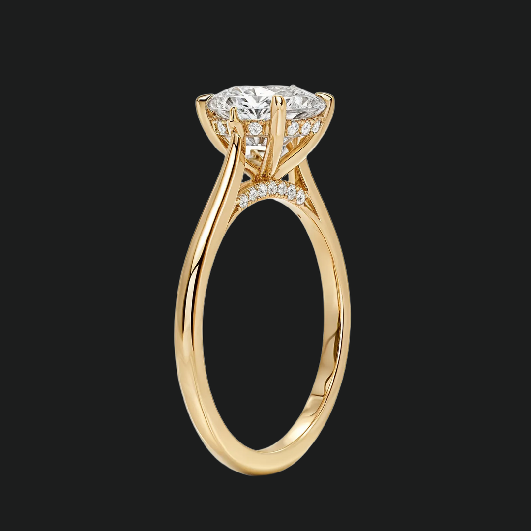 Petite ronde verborgen halo solitaire verlovingsring