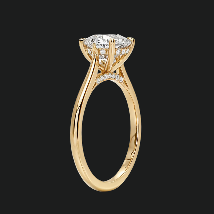 Petite ronde verborgen halo solitaire verlovingsring