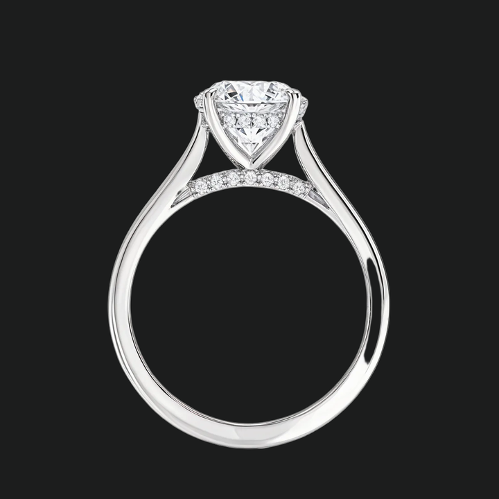 Petite ronde verborgen halo solitaire verlovingsring