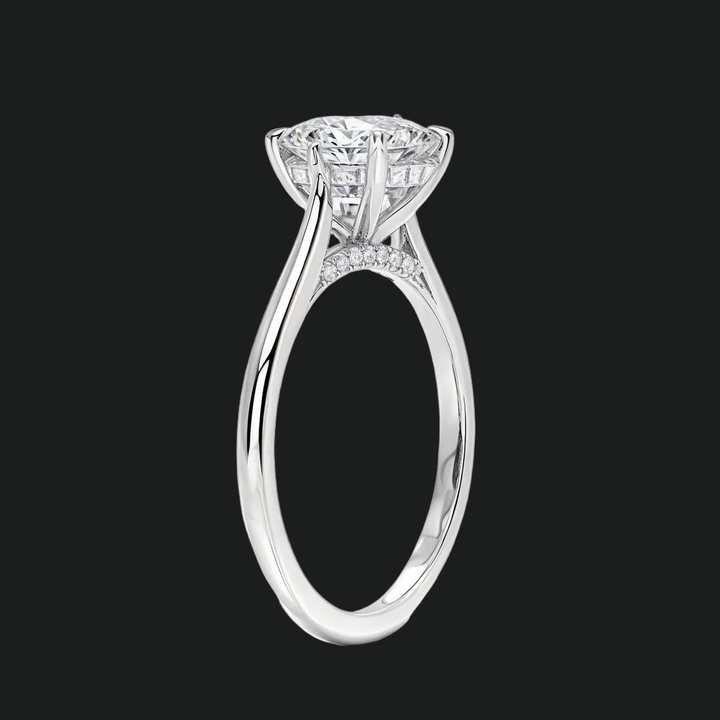 Petite ronde verborgen halo solitaire verlovingsring