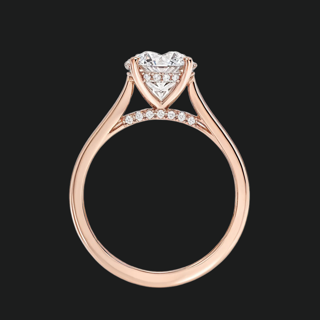 Petite ronde verborgen halo solitaire verlovingsring