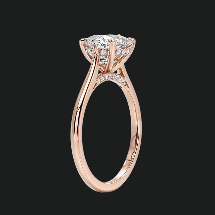 Petite ronde verborgen halo solitaire verlovingsring